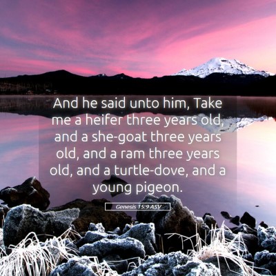 Picture 05 - Genesis 15:9 ASV - And he said unto him, Take me a heifer three - Bible Verse Picture