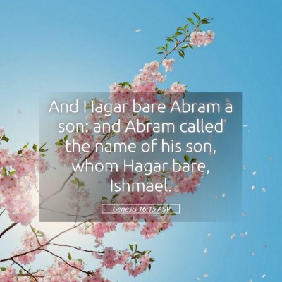 Picture 05 - Genesis 16:15 ASV - And Hagar bare Abram a son: and Abram called the - Bible Verse Picture