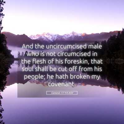Picture 05 - Genesis 17:14 ASV - And the uncircumcised male who is not circumcised - Bible Verse Picture