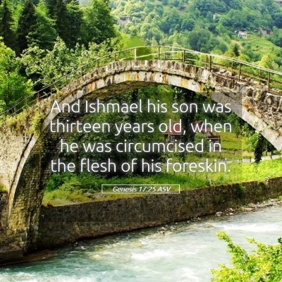 Picture 05 - Genesis 17:25 ASV - And Ishmael his son was thirteen years old, when - Bible Verse Picture