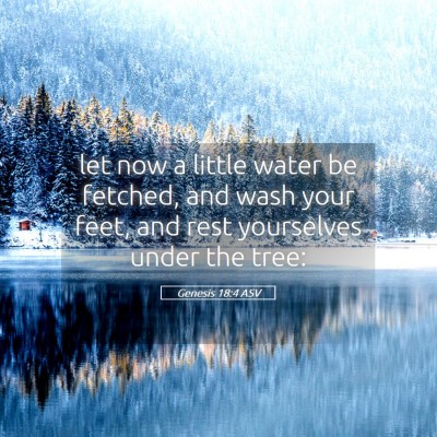 Picture 05 - Genesis 18:4 ASV - let now a little water be fetched, and wash your - Bible Verse Picture