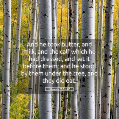 Picture 05 - Genesis 18:8 ASV - And he took butter, and milk, and the calf which - Bible Verse Picture