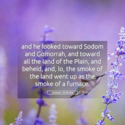 Picture 05 - Genesis 19:28 ASV - and he looked toward Sodom and Gomorrah, and - Bible Verse Picture