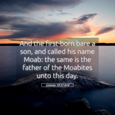 Picture 05 - Genesis 19:37 ASV - And the first-born bare a son, and called his - Bible Verse Picture