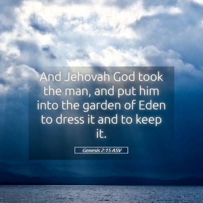 Picture 05 - Genesis 2:15 ASV - And Jehovah God took the man, and put him into - Bible Verse Picture