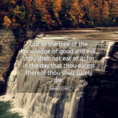 Picture 05 - Genesis 2:17 ASV - but of the tree of the knowledge of good and - Bible Verse Picture