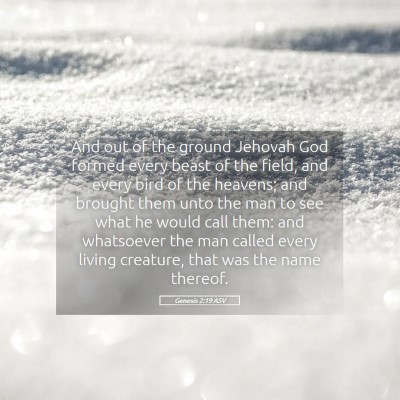 Picture 05 - Genesis 2:19 ASV - And out of the ground Jehovah God formed every - Bible Verse Picture