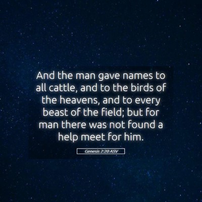 Picture 05 - Genesis 2:20 ASV - And the man gave names to all cattle, and to the - Bible Verse Picture