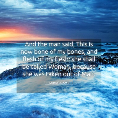 Picture 05 - Genesis 2:23 ASV - And the man said, This is now bone of my bones, - Bible Verse Picture