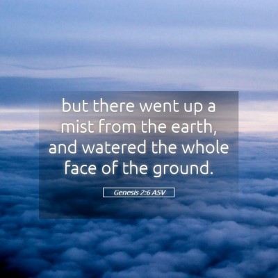 Picture 05 - Genesis 2:6 ASV - but there went up a mist from the earth, and - Bible Verse Picture