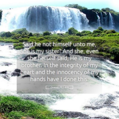 Picture 05 - Genesis 20:5 ASV - Said he not himself unto me, She is my sister? - Bible Verse Picture