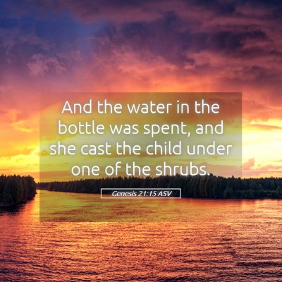 Picture 05 - Genesis 21:15 ASV - And the water in the bottle was spent, and she - Bible Verse Picture