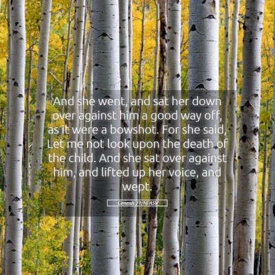 Picture 05 - Genesis 21:16 ASV - And she went, and sat her down over against him a - Bible Verse Picture