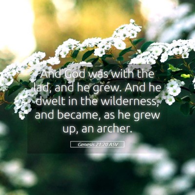 Picture 05 - Genesis 21:20 ASV - And God was with the lad, and he grew. And he - Bible Verse Picture