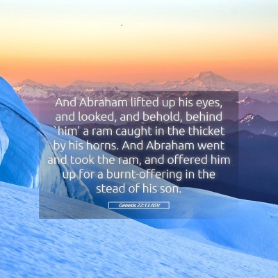 Picture 05 - Genesis 22:13 ASV - And Abraham lifted up his eyes, and looked, and - Bible Verse Picture