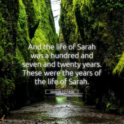 Picture 05 - Genesis 23:1 ASV - And the life of Sarah was a hundred and seven and - Bible Verse Picture