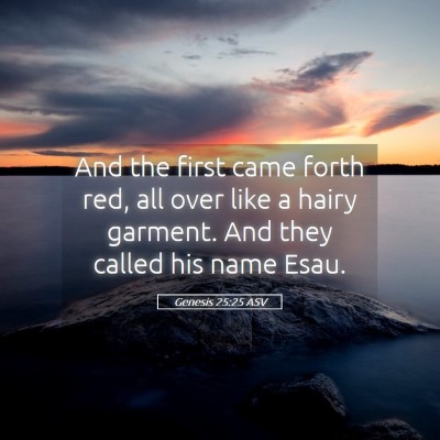 Picture 05 - Genesis 25:25 ASV - And the first came forth red, all over like a - Bible Verse Picture