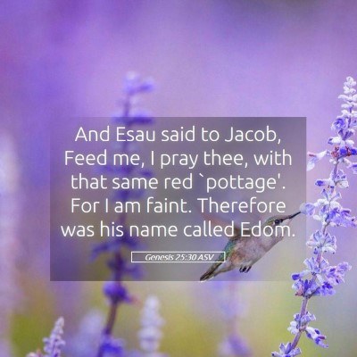 Picture 05 - Genesis 25:30 ASV - And Esau said to Jacob, Feed me, I pray thee, - Bible Verse Picture