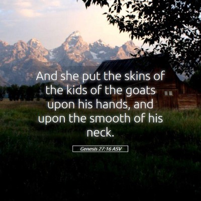 Picture 05 - Genesis 27:16 ASV - And she put the skins of the kids of the goats - Bible Verse Picture