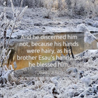 Picture 05 - Genesis 27:23 ASV - And he discerned him not, because his hands were - Bible Verse Picture