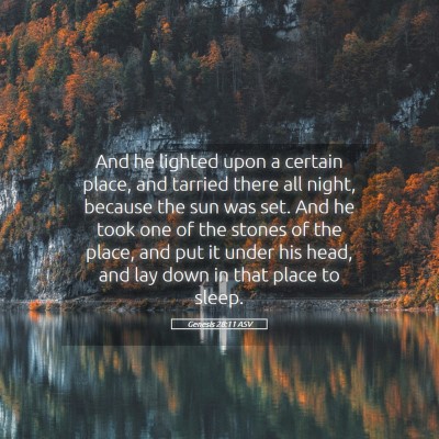Picture 05 - Genesis 28:11 ASV - And he lighted upon a certain place, and tarried - Bible Verse Picture