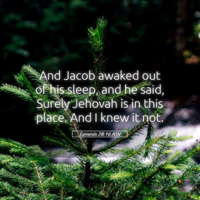 Picture 05 - Genesis 28:16 ASV - And Jacob awaked out of his sleep, and he said, - Bible Verse Picture