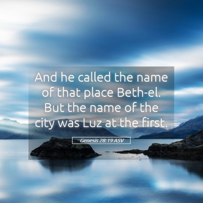 Picture 05 - Genesis 28:19 ASV - And he called the name of that place Beth-el. But - Bible Verse Picture