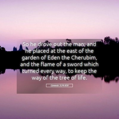 Picture 05 - Genesis 3:24 ASV - So he drove out the man; and he placed at the - Bible Verse Picture