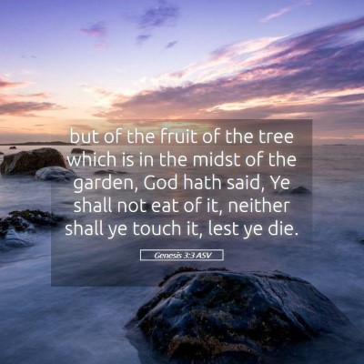 Picture 05 - Genesis 3:3 ASV - but of the fruit of the tree which is in the - Bible Verse Picture