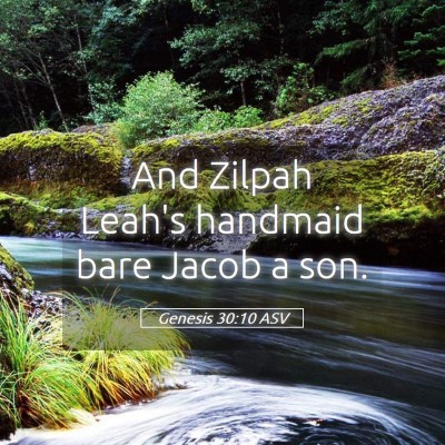 Picture 05 - Genesis 30:10 ASV - And Zilpah Leah's handmaid bare Jacob a - Bible Verse Picture