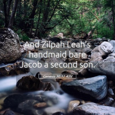 Picture 05 - Genesis 30:12 ASV - And Zilpah Leah's handmaid bare Jacob a second - Bible Verse Picture
