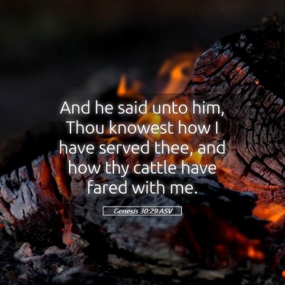 Picture 05 - Genesis 30:29 ASV - And he said unto him, Thou knowest how I have - Bible Verse Picture