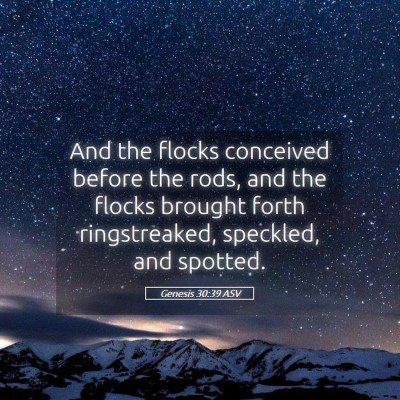 Picture 05 - Genesis 30:39 ASV - And the flocks conceived before the rods, and the - Bible Verse Picture