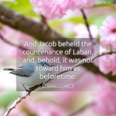 Picture 05 - Genesis 31:2 ASV - And Jacob beheld the countenance of Laban, and, - Bible Verse Picture