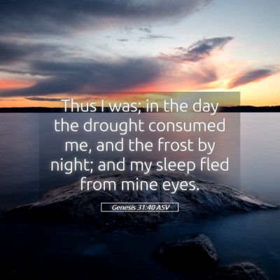 Picture 05 - Genesis 31:40 ASV - Thus I was; in the day the drought consumed me, - Bible Verse Picture