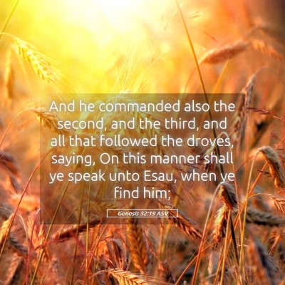 Picture 05 - Genesis 32:19 ASV - And he commanded also the second, and the third, - Bible Verse Picture