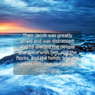 Picture 05 - Genesis 32:7 ASV - Then Jacob was greatly afraid and was distressed: - Bible Verse Picture