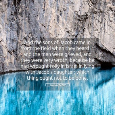 Picture 05 - Genesis 34:7 ASV - And the sons of Jacob came in from the field when - Bible Verse Picture