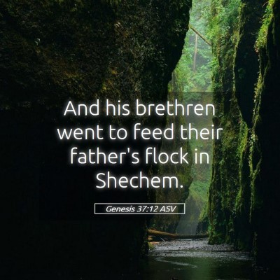Picture 05 - Genesis 37:12 ASV - And his brethren went to feed their father's - Bible Verse Picture