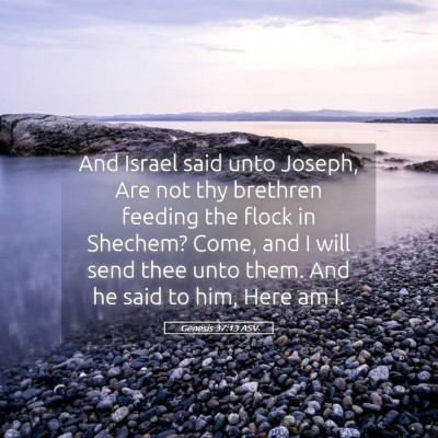 Picture 05 - Genesis 37:13 ASV - And Israel said unto Joseph, Are not thy brethren - Bible Verse Picture