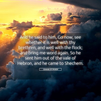 Picture 05 - Genesis 37:14 ASV - And he said to him, Go now, see whether it is - Bible Verse Picture