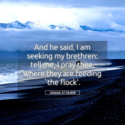 Picture 05 - Genesis 37:16 ASV - And he said, I am seeking my brethren: tell me, I - Bible Verse Picture