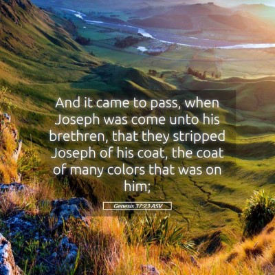 Picture 05 - Genesis 37:23 ASV - And it came to pass, when Joseph was come unto - Bible Verse Picture