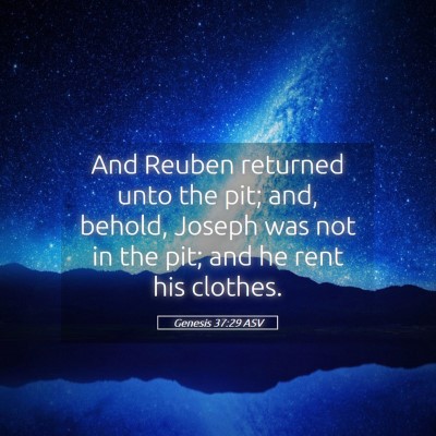 Picture 05 - Genesis 37:29 ASV - And Reuben returned unto the pit; and, behold, - Bible Verse Picture