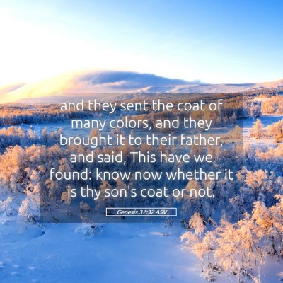 Picture 05 - Genesis 37:32 ASV - and they sent the coat of many colors, and they - Bible Verse Picture