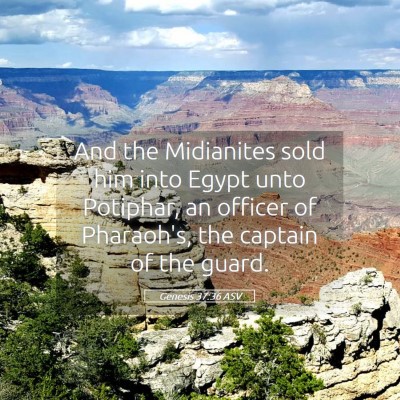 Picture 05 - Genesis 37:36 ASV - And the Midianites sold him into Egypt unto - Bible Verse Picture