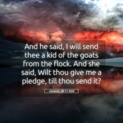 Picture 05 - Genesis 38:17 ASV - And he said, I will send thee a kid of the goats - Bible Verse Picture