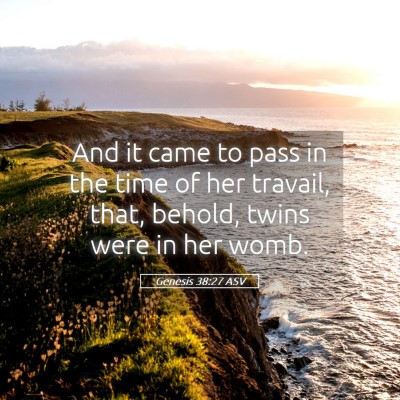 Picture 05 - Genesis 38:27 ASV - And it came to pass in the time of her travail, - Bible Verse Picture