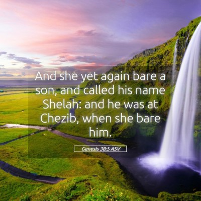 Picture 05 - Genesis 38:5 ASV - And she yet again bare a son, and called his name - Bible Verse Picture