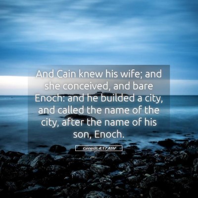 Picture 05 - Genesis 4:17 ASV - And Cain knew his wife; and she conceived, and - Bible Verse Picture